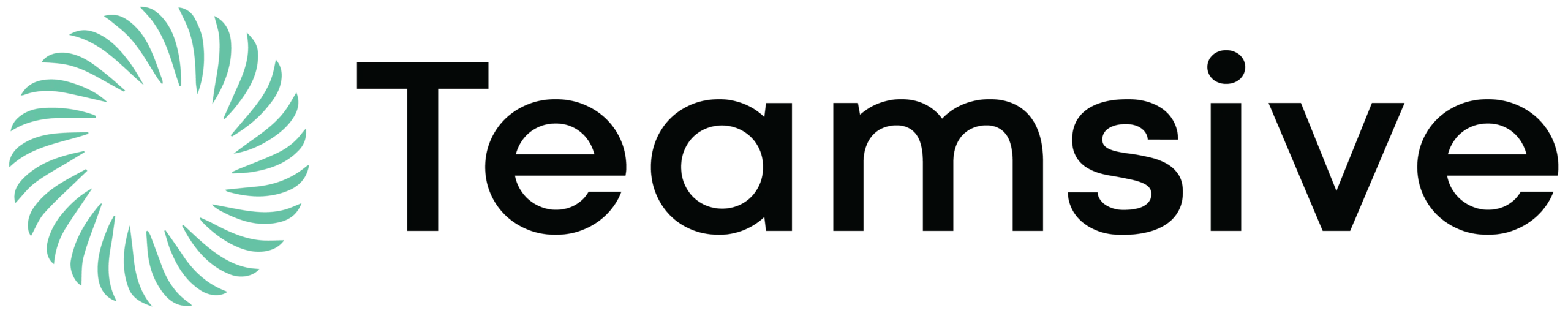 teamsive logo